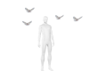 Matth Flying Doves