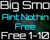 [D.E]Big Smo-Nothin Free