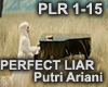 PERFECT LIAR