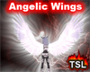 Angelic Wings