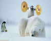 Polor Bear and Penguins