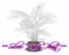 **Silver Palm Plant**