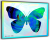 VU+ Butterfly Blue Art