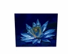 blue lotus pictrue