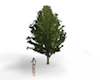 Derivable Tree Mesh