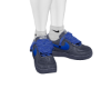 Blueberry Forces PL