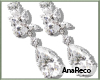 ASilver Diamons Earr.