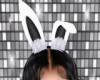 bunny ears