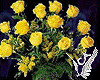 Yellow Roses