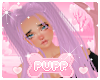 𝓟. Lavender Lazlo