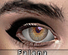 [💋] Falena Makeup III
