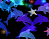 Dolphins,Sea Bundle