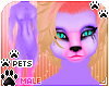 [Pets] Phir | abless fur