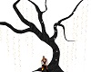 Phoenix Tree