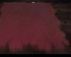 red rug