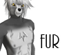 Silver Fox Fur [KIT] M