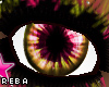 [V4NY] Reba#2 Eyes