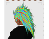 Crex Rainbow Hair