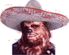 Chewbacca Sombrero!