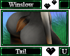 Winslow Tail