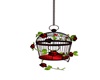 Red/Blk Bird Cage