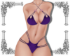 Purple Royal Bikini