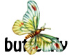 Yumi Butterfly 14