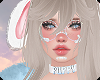 🌻Kyoko•Dove