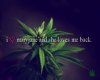 ☮ marijuana Plant