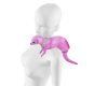pet pinki