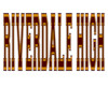 Riverdale high gym logo