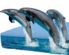 Dolphins picture  - 3D