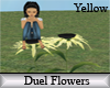 (A) Duel Flowers Yellow