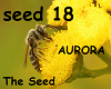 AURORA - The Seed