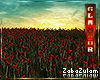 zZ Field Red Poppies