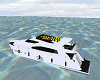 Rasta Luxury Yacht