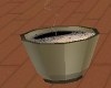 Cup of steamie coffee