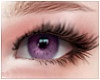 lashes