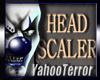 {YT}Scaler Perfect Head 