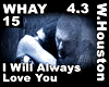 ©W.Houston -Allways lov