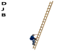 Bamboo Ladder - anim