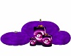{N.D}Purple Pumpkins 