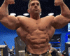 Muscle Universe