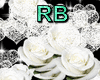 White Roses Hearts