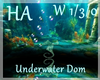 [HA]UnterWater Dom