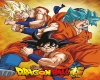 t. dbz super