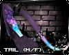 !F:Kiyo: Tail 2