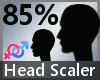 Head Scaler 85% M