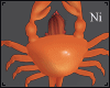 Ni | Paras crab shell