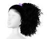 Kid Ponytail